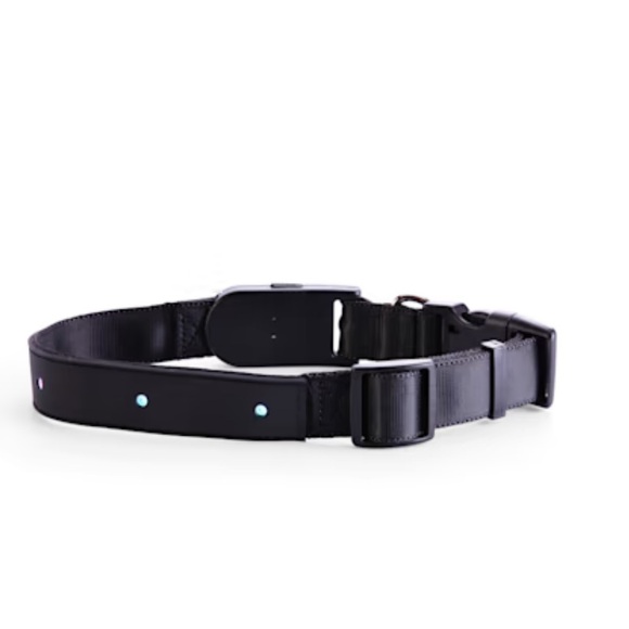 YOULY The Extrovert Black LED Dog Collar Small - Picture 2 of 5